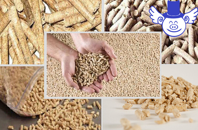 近一年行业营收变化,全年营收实现155亿元人民币