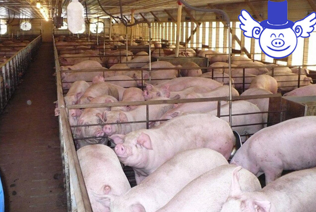 如何解决相互压价,面对同行压价怎么办