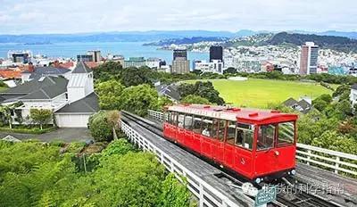 好先生惠灵顿牛排喝的什么酒,好先生在家做惠灵顿牛排无数遍