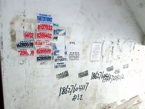 中国“办*证假**”技术入侵澳洲?澳政府表示哭笑不得