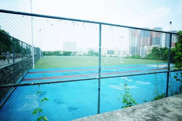 广东15所野鸡大学名单曝光,广东的野鸡大学有哪些