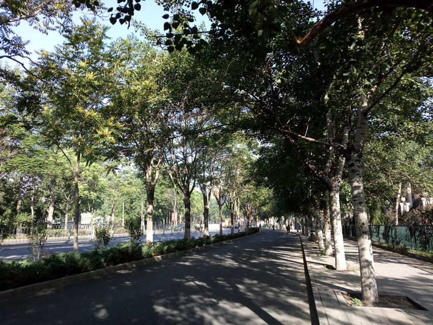 360n4手机如何,360手机n4a发布