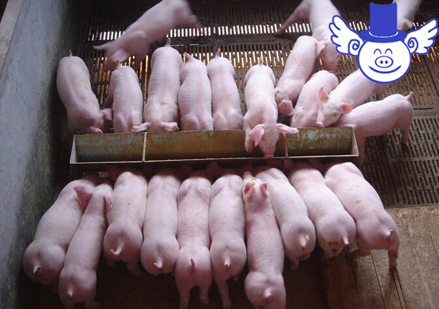 如何解决相互压价,面对同行压价怎么办