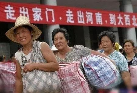 傲娇苹果,傲娇这个品种怎么样