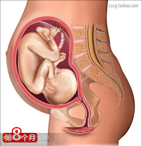 受益匪浅新手爸妈必读