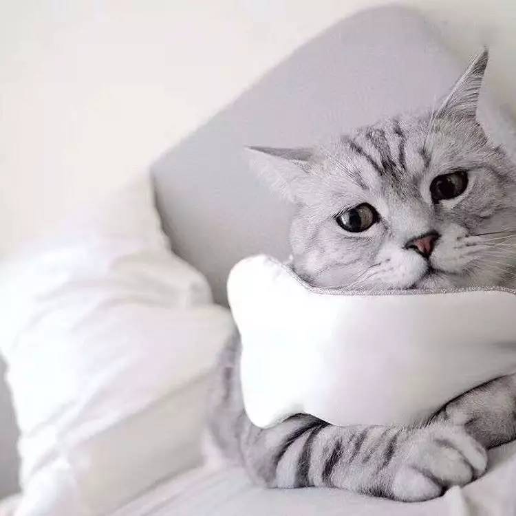 送给女生实用轻奢的礼物,又实用又有吸引力的礼物