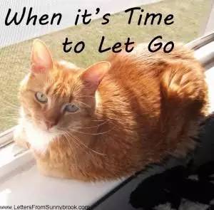 宠物离世如何面对家人,失去宠物怎么走出悲伤要多长时间