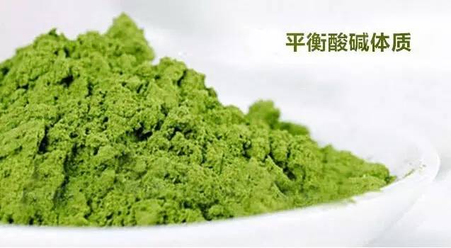 大麦若叶青汁可以减肥吗,大麦若叶青汁有减肥的功效吗