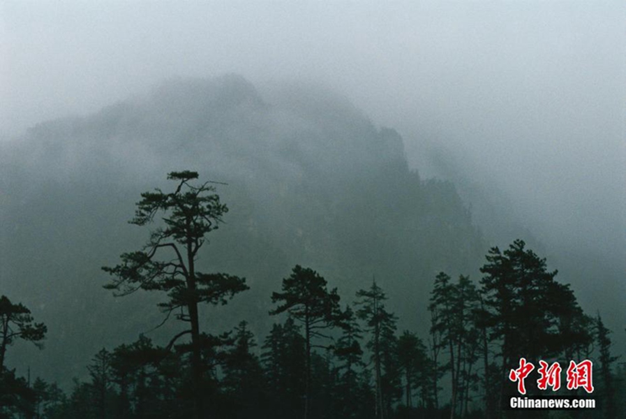 雪域高原风光秀丽视频,雪域高原的美丽风景