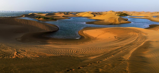 乌海要火啦！6.1日，齐秦、箫桐、德德玛、巫启贤、陈志朋、faye飞等众多明星齐聚乌海！