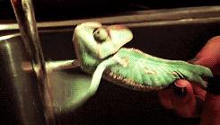 胃病食疗10种食物健脾养胃,胃病养胃的正确方法