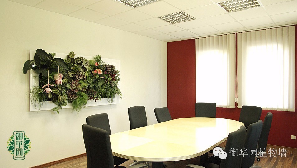 新鲜出炉┃十大唯美植物壁画排行榜,第一名竟然是......