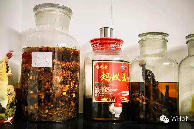 nba哪个队队医被称为神医,太阳队队医为什么叫神医