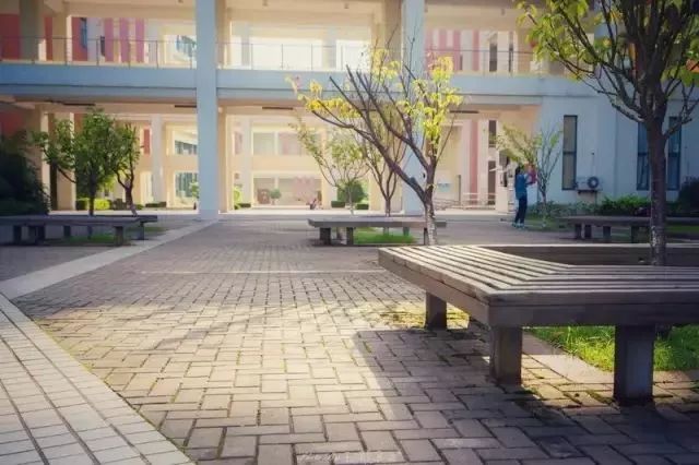 高校震撼美景,华东理工大学有什么好看的