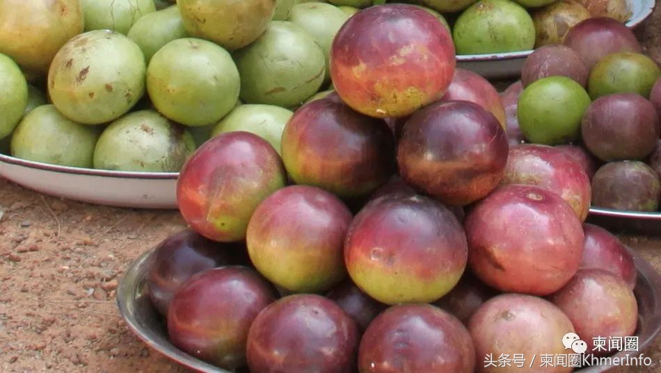 柬埔寨的特色水果有哪些,柬埔寨十大热带水果