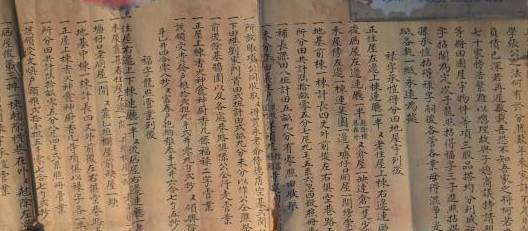 每日壹闻,考古发现世界最早茶叶