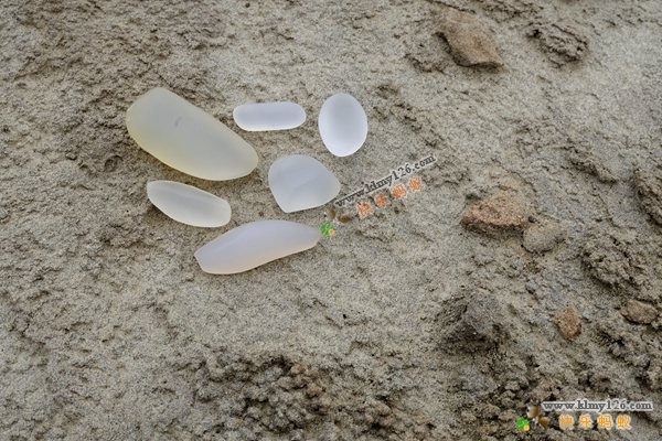 斑彩石是宝石吗,斑彩石宝石家族