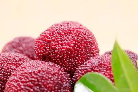 什么水果长虫了最好吃,哪些水果最容易有虫