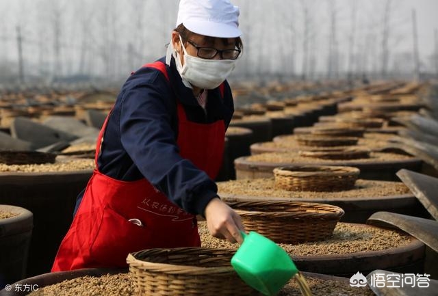 真正的东北大酱做法,东北大酱最好吃的做法