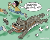 如果疯狗咬你一口你会咬回去吗,如果有疯狗向你冲来怎么办