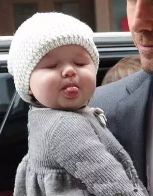 世界之最小公举盘点|波妹夜话