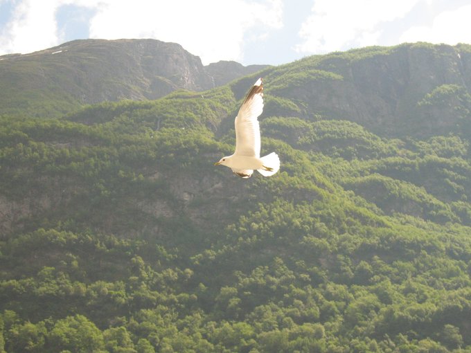 北欧四国丹、瑞、挪、芬，不是穷游的穷游（多图杀猫，字多慎入）