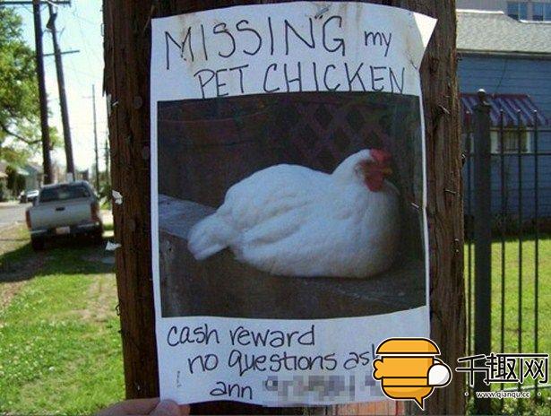 奇葩的招聘启事,奇葩的招工启事