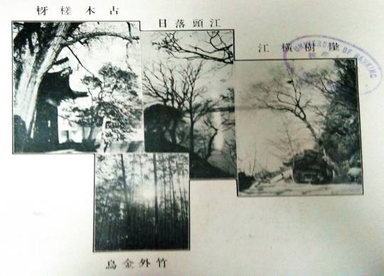 1934|北大楼枫藤未生，犹记毕业季