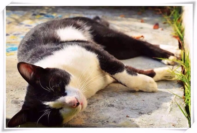 清迈住宿攻略清迈自由行,在清迈