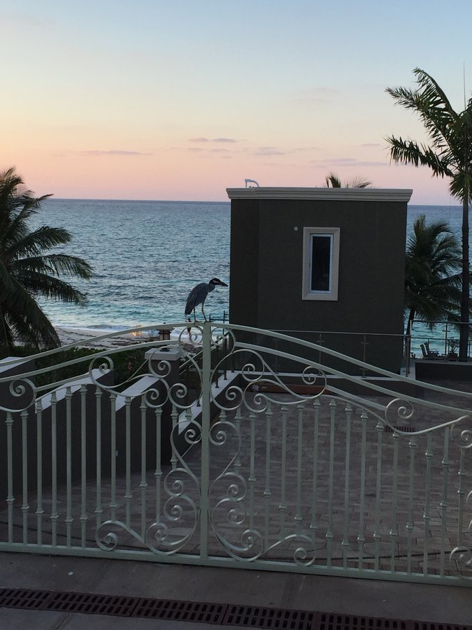 巴哈马旅游风景2020,巴哈马海滩旅游攻略