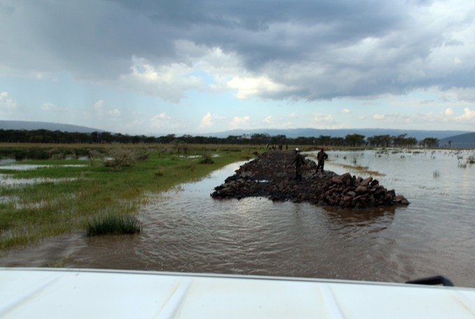12天肯尼亚动物大迁徙自驾之旅,肯尼亚动物旅行