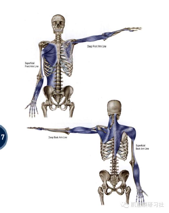 颈椎病国际康复训练,中医讲座颈椎病