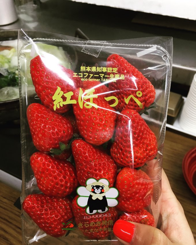 16年,关西(大阪,奈良,京都,宇治)樱花,甲子园