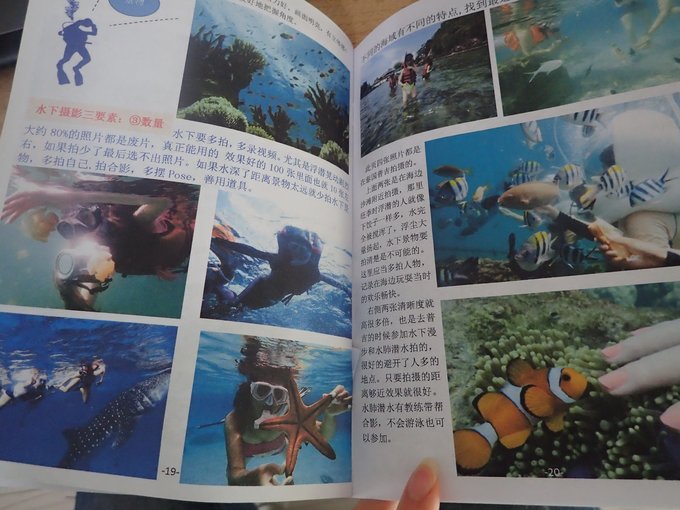 马尔代夫莉莉岛怎么玩,马尔代夫莉莉岛出海项目