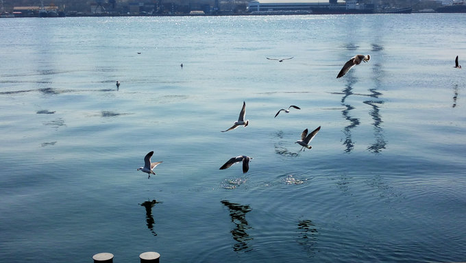 海参崴夏天旅游攻略,海参崴春季旅游