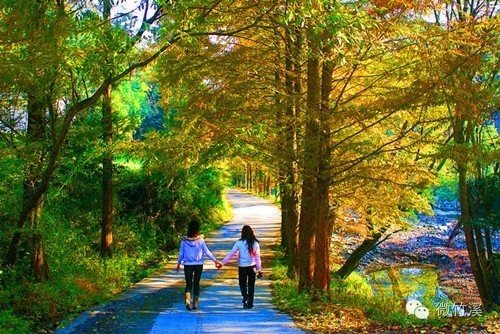 微景观提升群众幸福感,竹溪居住好地段