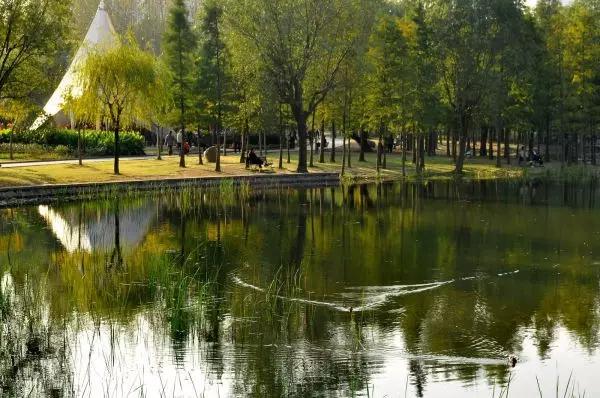 上海土豪排名第一,上海顶级土豪