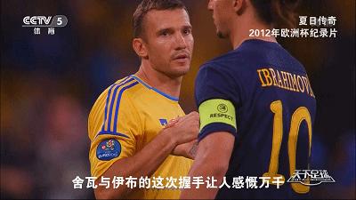 泪流满面12年欧洲杯那些或唏嘘或泪流的经典时刻