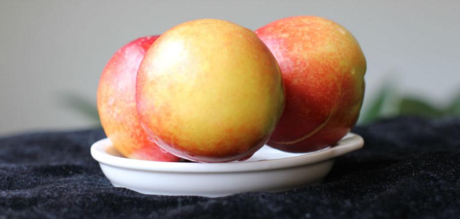 南北大战南方的桃子,南北大战北方的桃子