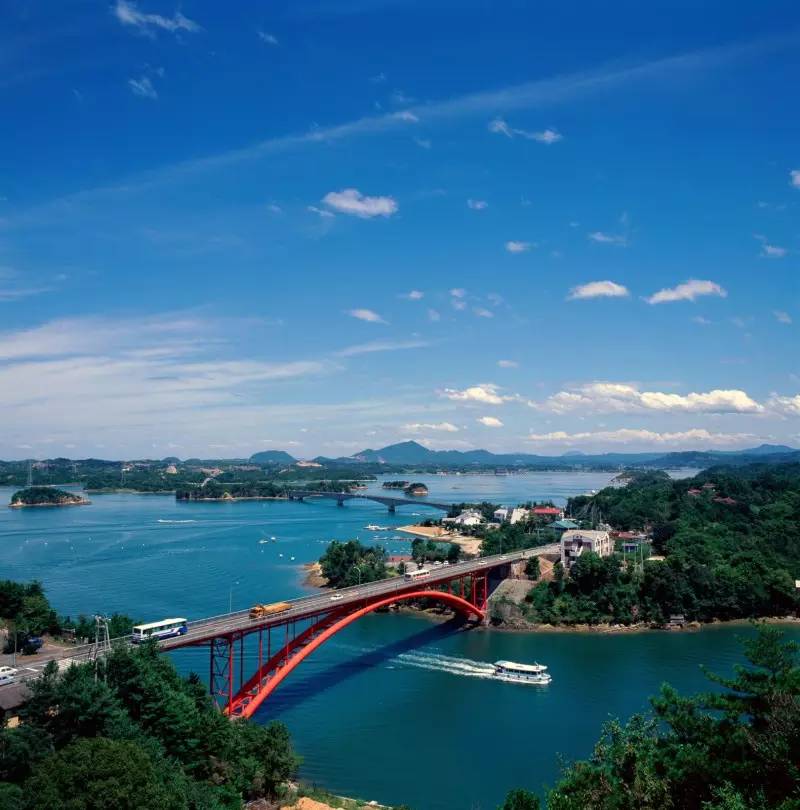 一只有钱的熊生赢家！