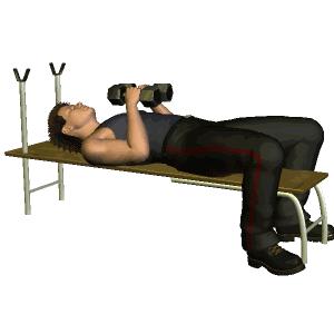 在家哑铃锻炼胸肌最有效的动作,哑铃练胸肌会练到腹肌吗