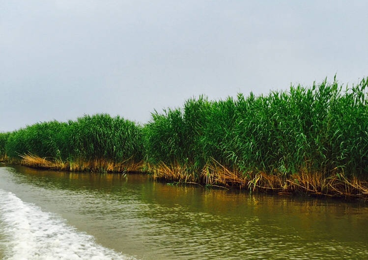 保定夏天去哪里避暑最好,保定出发一路向北避暑好去处