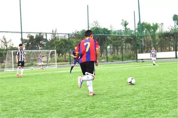 欧洲杯足球在哪里踢得好,欧洲杯足球场地在哪里