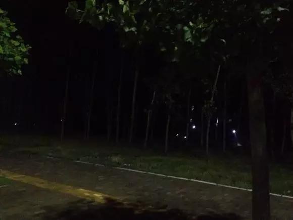 濮阳摸爬叉的地方,濮阳老城摸爬叉的地方