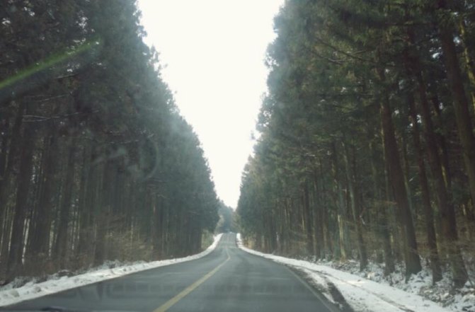 济州岛租车价格一览表,中国人如何在济州岛租车