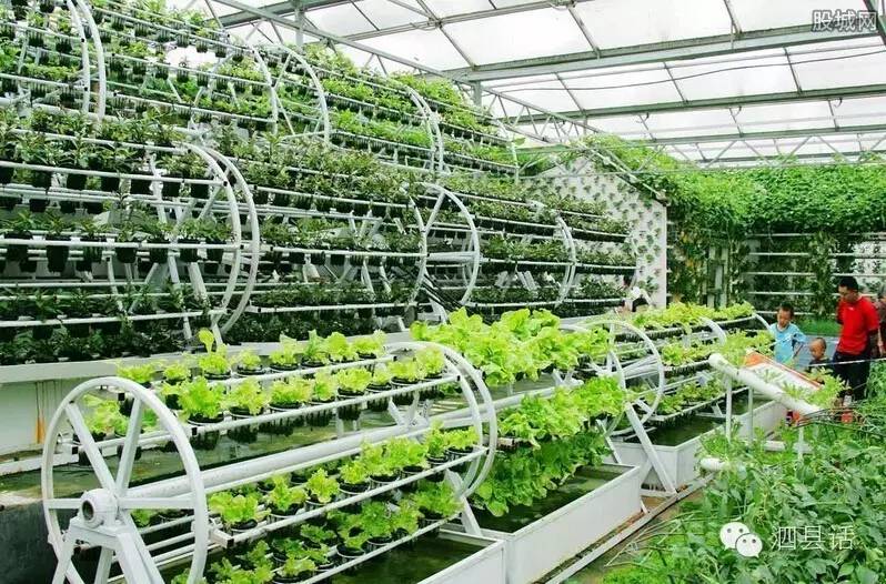 泗县发展前后对比变化视频,泗县变化真大