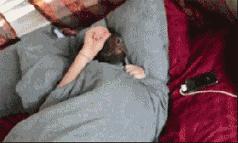 优步奖励政策10月份,优步的成功之处