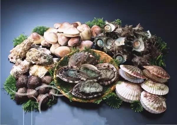 珠海海边沙滩哪里好玩可以烧烤,珠海哪些海边可以自驾烧烤露营