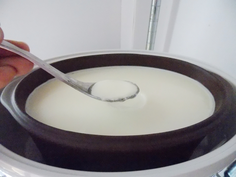 酸奶拉花家常做法,酸奶拉花详细做法