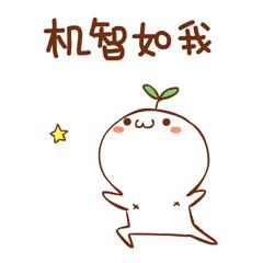 论迷弟的自我修养,伪车迷是真是假